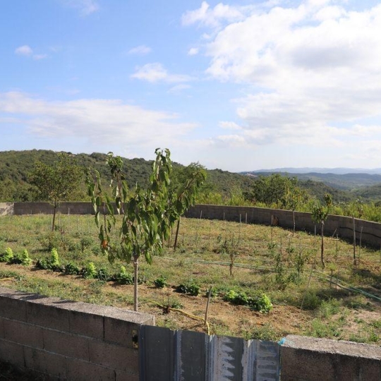  DEMEURES MAISONS PATRIMOINE : Domain / Estate | CARCASSONNE (11000) | 400 m2 | 1 290 000 € 