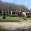  DEMEURES MAISONS PATRIMOINE : Domain / Estate | SAINT-GIRONS (09200) | 500 m2 | 1 050 000 € 