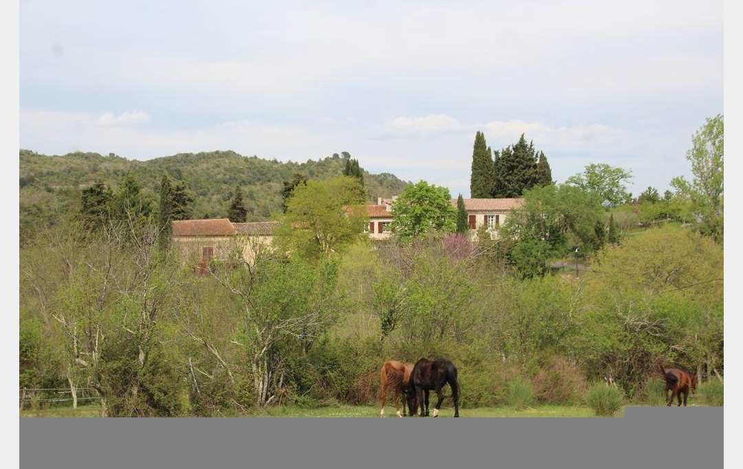 DEMEURES MAISONS PATRIMOINE : Domain / Estate | LIMOUX (11300) | 305 m2 | 995 000 € 