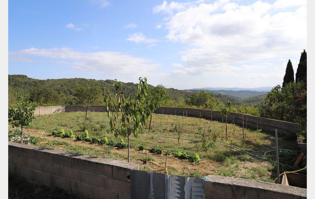 DEMEURES MAISONS PATRIMOINE : Domain / Estate | CARCASSONNE (11000) | 400 m2 | 1 290 000 € 