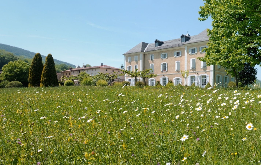 DEMEURES MAISONS PATRIMOINE : Domain / Estate | FOIX (09000) | 648 m2 | 895 000 € 