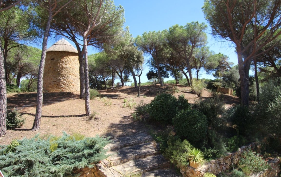 DEMEURES MAISONS PATRIMOINE : Domain / Estate | NARBONNE (11100) | 237 m2 | 648 000 € 