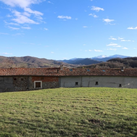  DEMEURES MAISONS PATRIMOINE : Domaines / Propriétés | VARILHES (09120) | 300 m2 | 590 000 € 