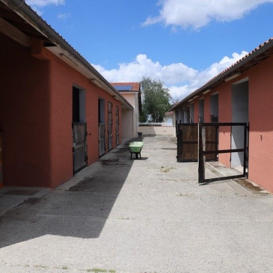  DEMEURES MAISONS PATRIMOINE : Domaines / Propriétés | PAMIERS (09100) | 200 m2 | 1 300 000 € 