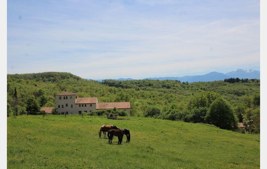 DEMEURES MAISONS PATRIMOINE : Domaines / Propriétés | LIMOUX (11300) | 750 m2 | 1 380 000 € 