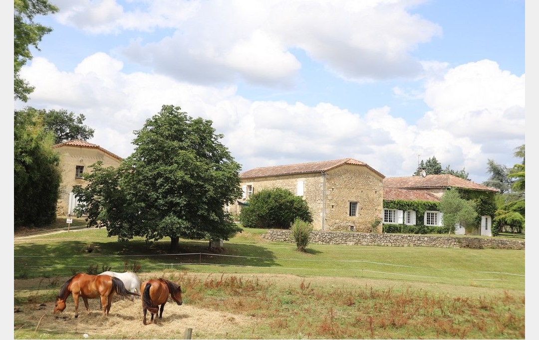 DEMEURES MAISONS PATRIMOINE : Domain / Estate | CONDOM (32100) | 440 m2 | 1 150 000 € 