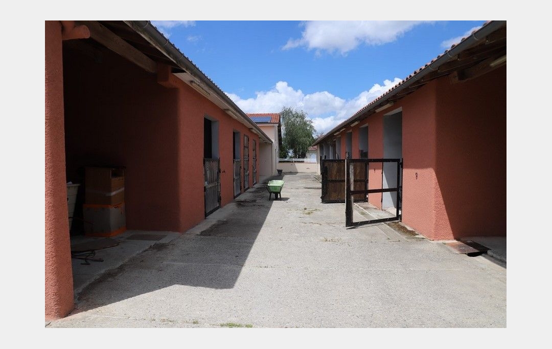 DEMEURES MAISONS PATRIMOINE : Domaines / Propriétés | PAMIERS (09100) | 200 m2 | 1 300 000 € 